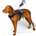 supplies Accessories no pull nylon dog harness